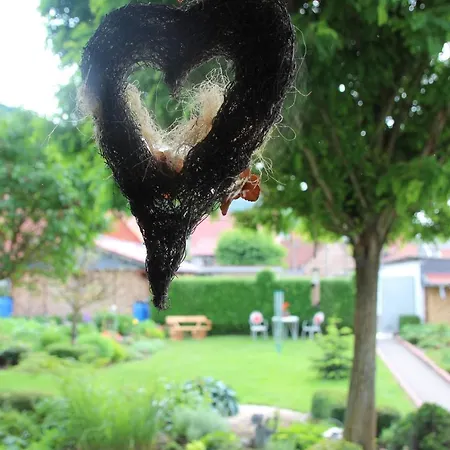 Im Herzen Deutschlands Entspannen Heilbad Heiligenstadt